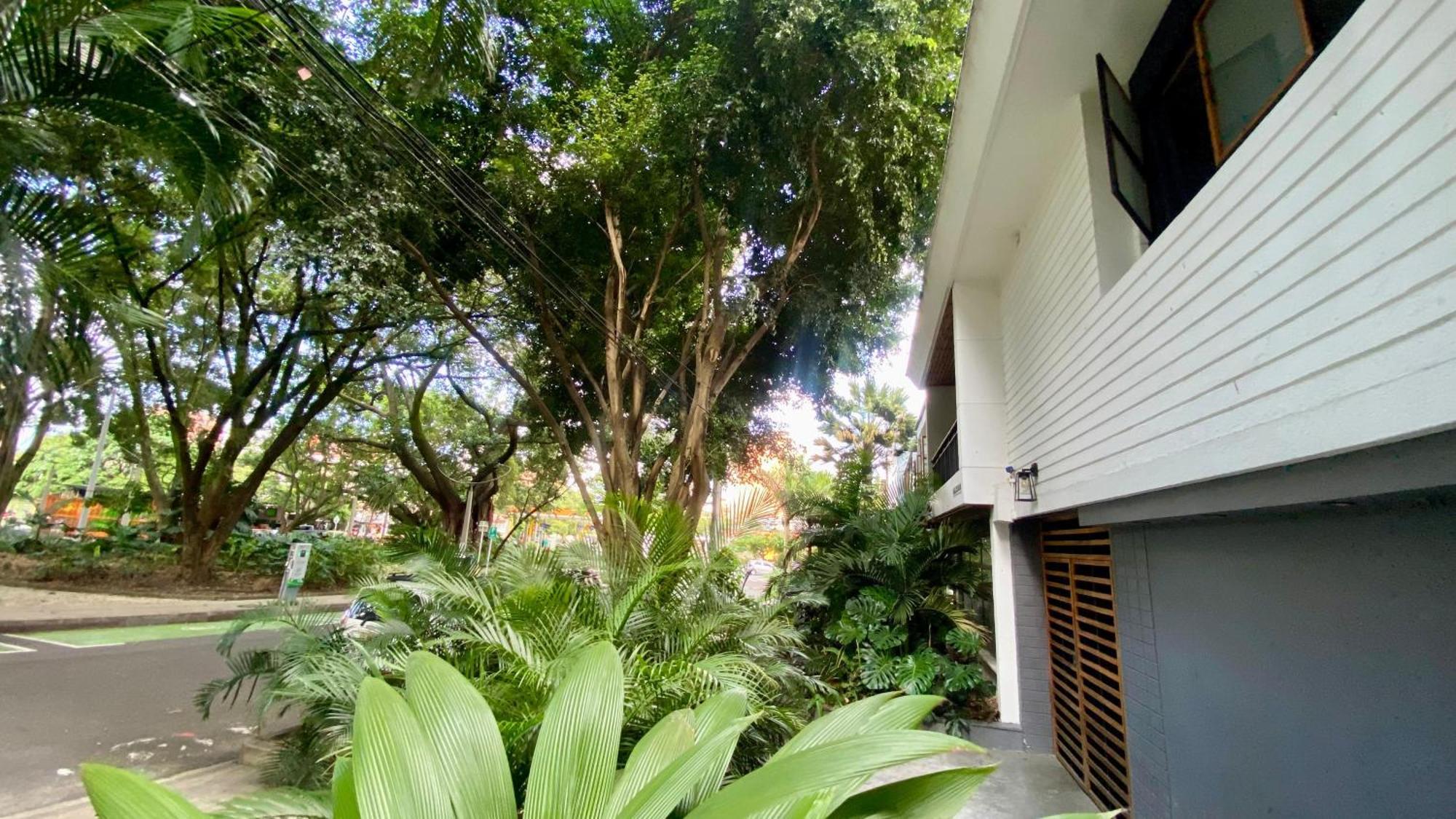 Casa Mosaiko Primer Parque Laureles ميديلين المظهر الخارجي الصورة